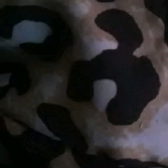 Meet your Posher, Rikyita - Picture 1 of 1